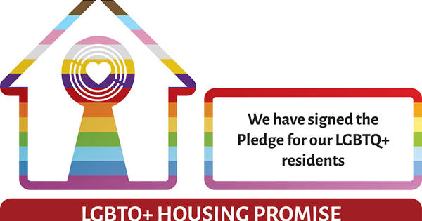 Pledge Promise Longform